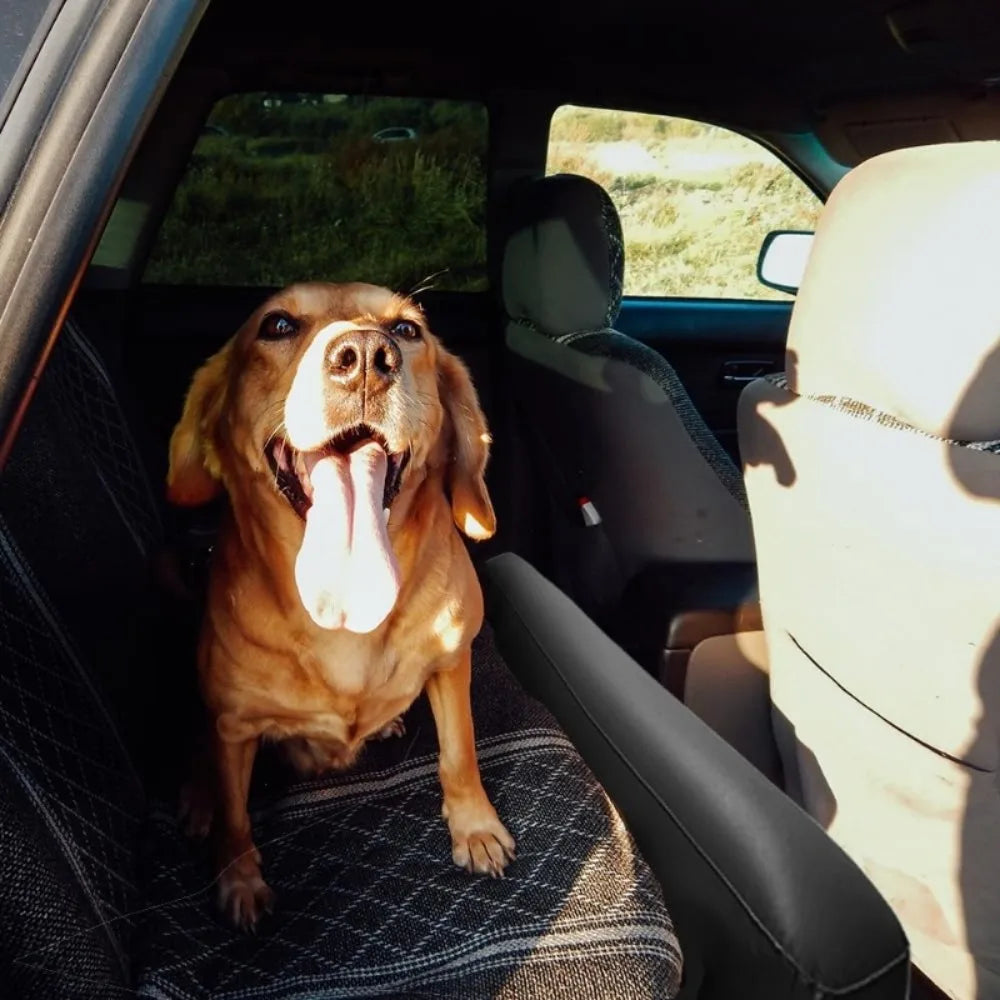 Car Inflatable Travel Bed Mattress; Back Seat Air Mattress for Camping & Road Trips